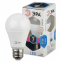 Лампа ЭРА LED (A55-7W-840-E27)